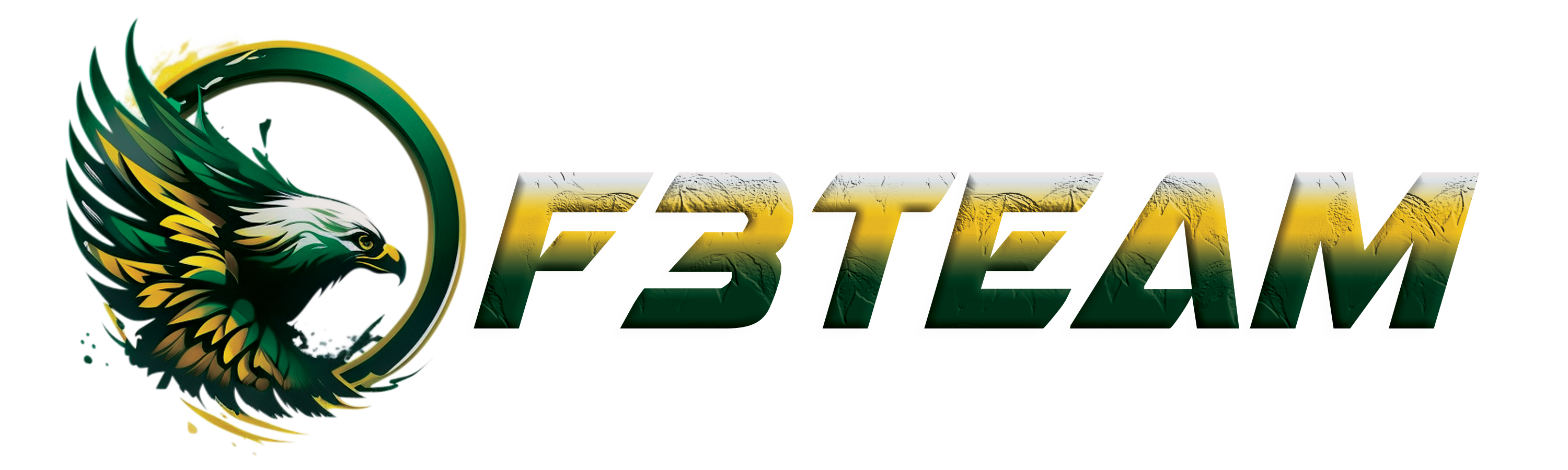 F3 Team LLC 